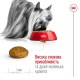 Сухий корм для собак Royal Canin X-Small Adult 1,2 кг