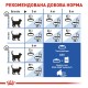 Сухий корм для котів Royal Canin Indoor 7+, 3,5 кг + Catsan 5 л у подарунок