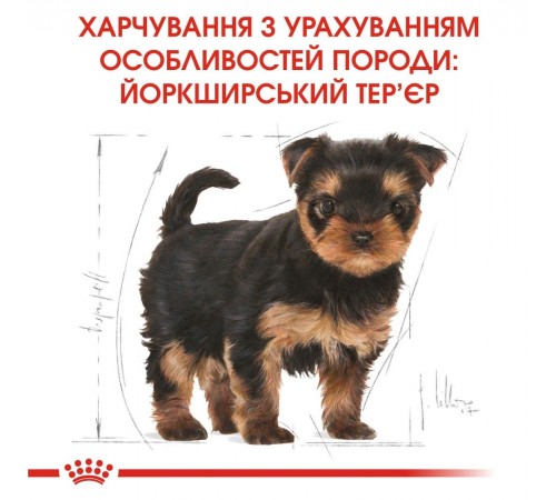Сухий корм для цуценят Royal Canin Yorkshire Puppy 500 г