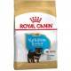 Сухий корм для цуценят Royal Canin Yorkshire Puppy 500 г
