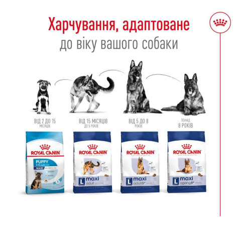 Сухий корм для собак Royal Canin Maxi Ageing 8+, 15 кг