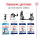 Сухий корм для собак Royal Canin Maxi Ageing 8+, 15 кг