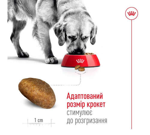 Сухий корм для собак Royal Canin Maxi Ageing 8+, 15 кг