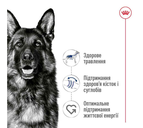 Сухий корм для собак Royal Canin Maxi Ageing 8+, 15 кг