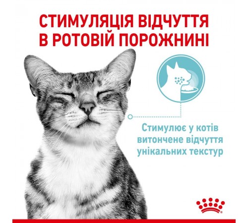 Вологий корм для котів Royal Canin Sensory Feel Jelly pouch 85 г
