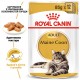 Вологий корм для котів породи мейн-кун Royal Canin Maine Coon Adult Gravy pouch 85 г