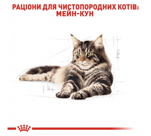 Вологий корм для котів породи мейн-кун Royal Canin Maine Coon Adult Gravy pouch 85 г