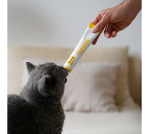 Ласощі для котів GimCat Cheese Biotin Paste 100 г - сир з біотином