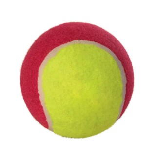 Іграшка для собак М'яч тенісний d=10 см (кольори в асортименті)