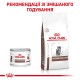 Сухий корм для кошенят Royal Canin Gastrointestinal Kitten 400 г