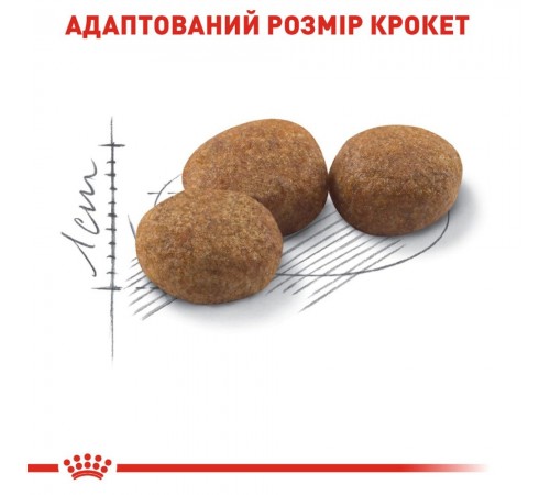 Набір сухого і вологого корму для котів Royal Canin Sterilised 2 кг + 6 шт х 85 г pouch