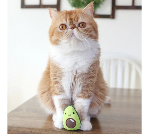 Іграшка для котів Petstages Lil' Avocato