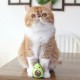Іграшка для котів Petstages Lil' Avocato