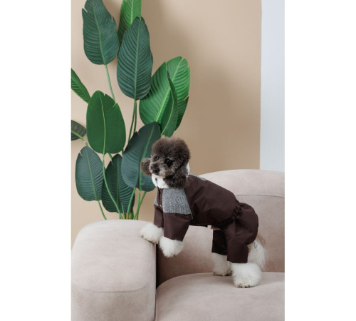 Костюм для собак Pet Fashion Locky ХХS