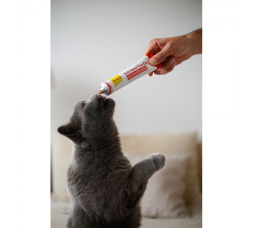 Ласощі для котів GimCat Multi-Vitamin Paste Extra 100 г - мультивітамін