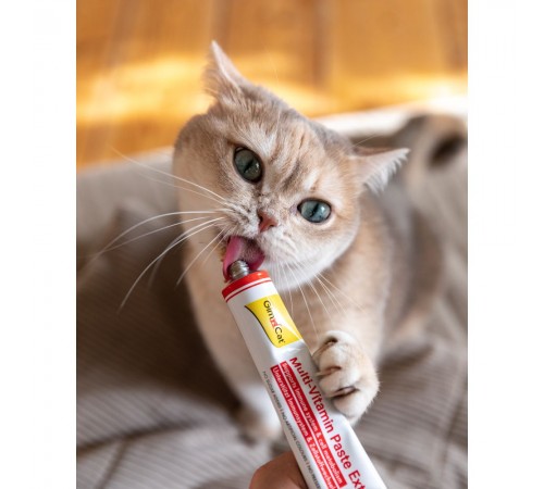 Ласощі для котів GimCat Multi-Vitamin Paste Extra 100 г - мультивітамін