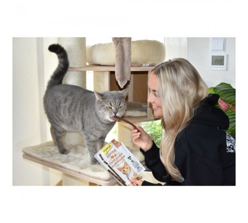Ласощі для котів GimCat Sticks 4 шт - індичка та кролик