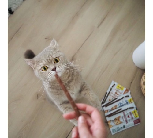 Ласощі для котів GimCat Sticks 4 шт - індичка та кролик
