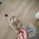 Ласощі для котів GimCat Sticks 4 шт - індичка та кролик