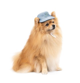 Панама для собак Pet Fashion Blue XS