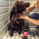 Шампунь для цуценят Animology Puppy Love 250 мл