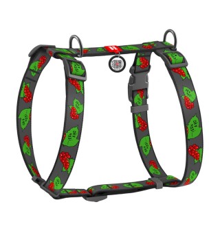 Шлея H-образна WAUDOG Nylon c QR паспортом і малюнком «Калина» S 30-40/15 мм