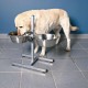 Стійка з мисками для собак Trixie 2 x 2,8 л / 24 см, h=50 см