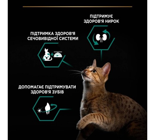 Сухий корм для котів Pro Plan Sterilised Adult 1+ Renal Plus 14 кг - лосось