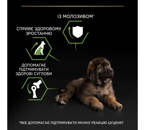 Сухий корм для цуценят великих порід Pro Plan Puppy large Robust 12 кг (курка)