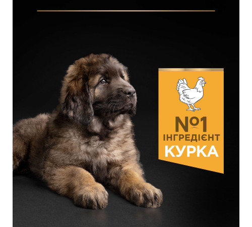 Сухий корм для цуценят великих порід Pro Plan Puppy large Robust 12 кг (курка)