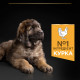 Сухий корм для цуценят великих порід Pro Plan Puppy large Robust 12 кг (курка)