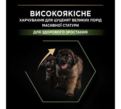 Сухий корм для цуценят великих порід Pro Plan Puppy large Robust 12 кг (курка)