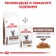 Сухий корм для котів Royal Canin Gastro Intestinal Moderate Calorie 400 г