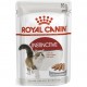 Вологий корм для котів Royal Canin Instinctive Loaf pouch 85 г