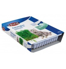 TRIXIE Трава для котів з піддон. TX-4235