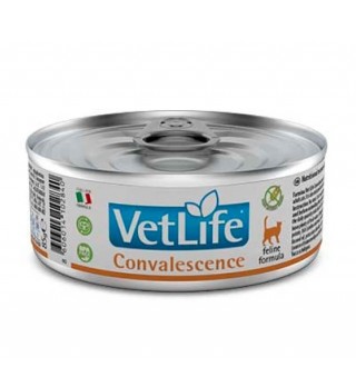 Farmina VetLife Convalescence feline - консервований корм-дієта для котів та кішок  у період одужання, 85г