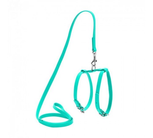 CoLLaR GLAMOUR Шлея з повід, для котів та малих порід собак (ширина 12мм, А:25-35см, В:35-43 см)