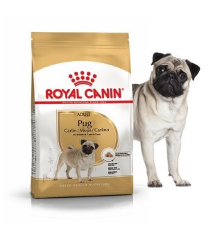 Royal Canin Pug Adult - сухий корм для дорослих собак породи мопс, 0,5 кг