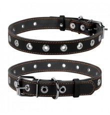 CoLLaR Нашийник безрозмірний (шир.25мм, довж.60см) чорний