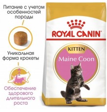 Royal Canin Mainecoon Kitten - сухий корм для кошенят породи мейн-кун віком від 3 до 15 місяців, 0,4кг