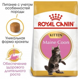 Royal Canin Mainecoon Kitten - сухий корм для кошенят породи мейн-кун віком від 3 до 15 місяців, 0,4кг