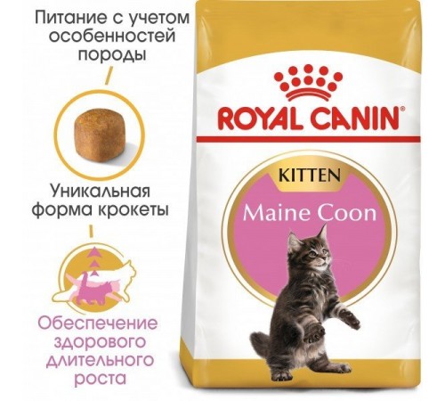 Royal Canin Mainecoon Kitten - сухий корм для кошенят породи мейн-кун віком від 3 до 15 місяців, 0,4кг