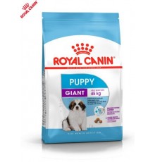 Royal Canin Giant Puppy - сухий корм для цуценят гігантських порід з 2 до 8 місяці, 15кг