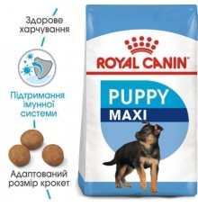 Royal Canin Maxi Puppy - сухий корм для цуценят великих порід від 2 до 15 місяців, 1кг