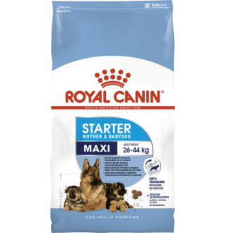 Royal Canin Maxi Starter - сухий корм для цуценят великих порід у період відлучення до 2-місячного віку, 1кг