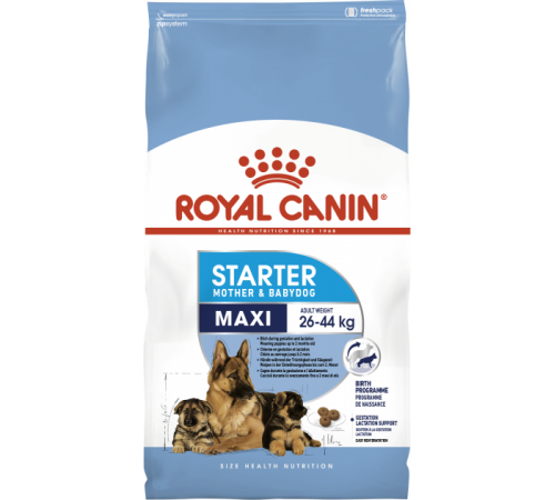 Royal Canin Maxi Starter - сухий корм для цуценят великих порід у період відлучення до 2-місячного віку, 1кг
