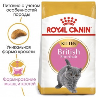 Royal Canin Kitten British Shorthair - сухий корм для кошенят породи британської короткошерстної у віці від 4 до 12 місяців 0,4кг