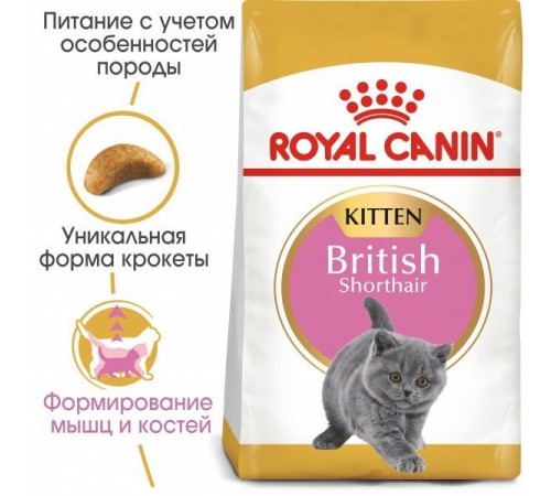 Royal Canin Kitten British Shorthair - сухий корм для кошенят породи британської короткошерстної у віці від 4 до 12 місяців 0,4кг