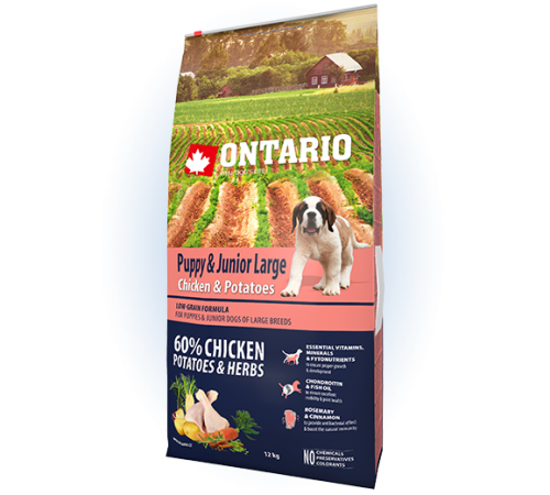 Ontario Puppy&Junior Large Chicken&Potatoes - сухий корм для цуценят великих порід з куркою та картоплею, 12кг