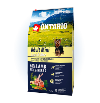 Ontario Adult Mini Lamb&Rice - сухий корм для дорослих собак дрібних порід з ягням та рисом, 6,5кг